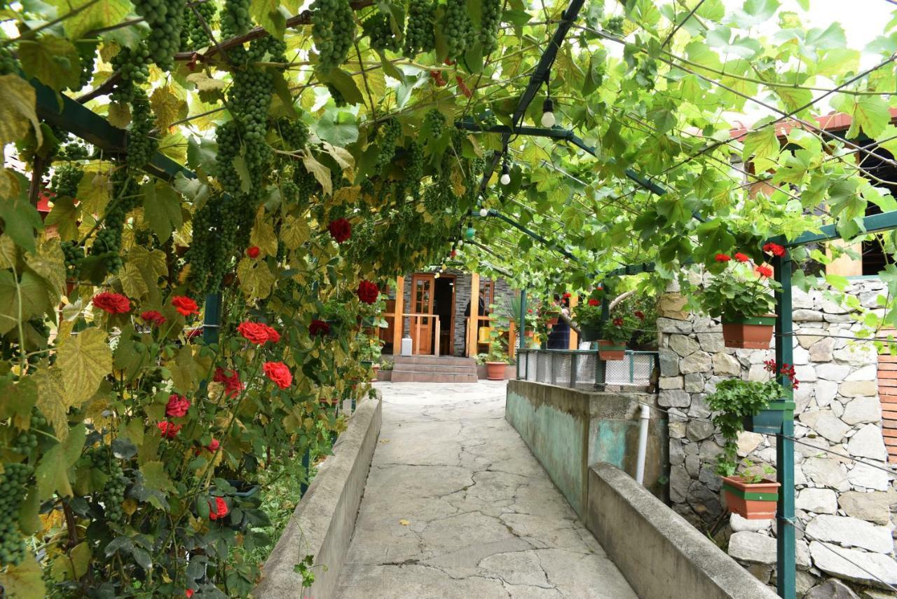 泰拉维Nikala住宿加早餐旅馆 外观 照片