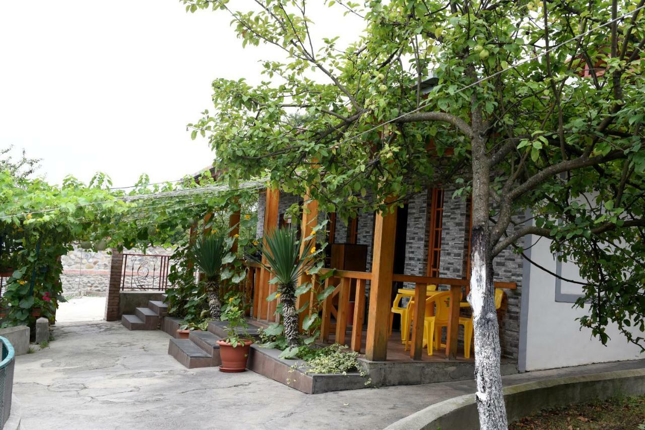 泰拉维Nikala住宿加早餐旅馆 外观 照片