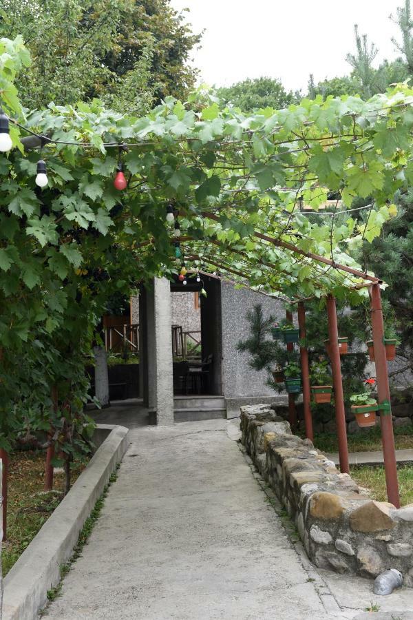 泰拉维Nikala住宿加早餐旅馆 外观 照片